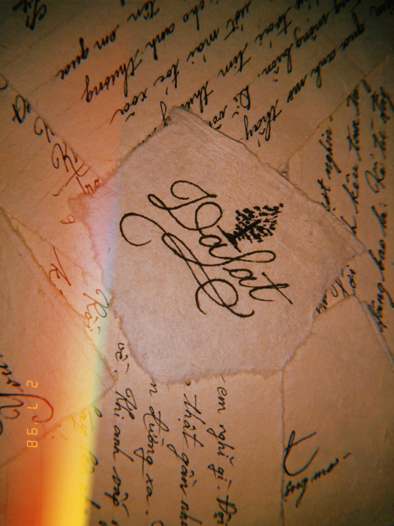Dó giấy dó & cursive