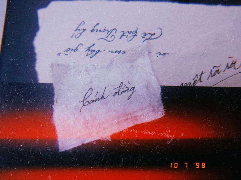 Dó giấy dó & cursive