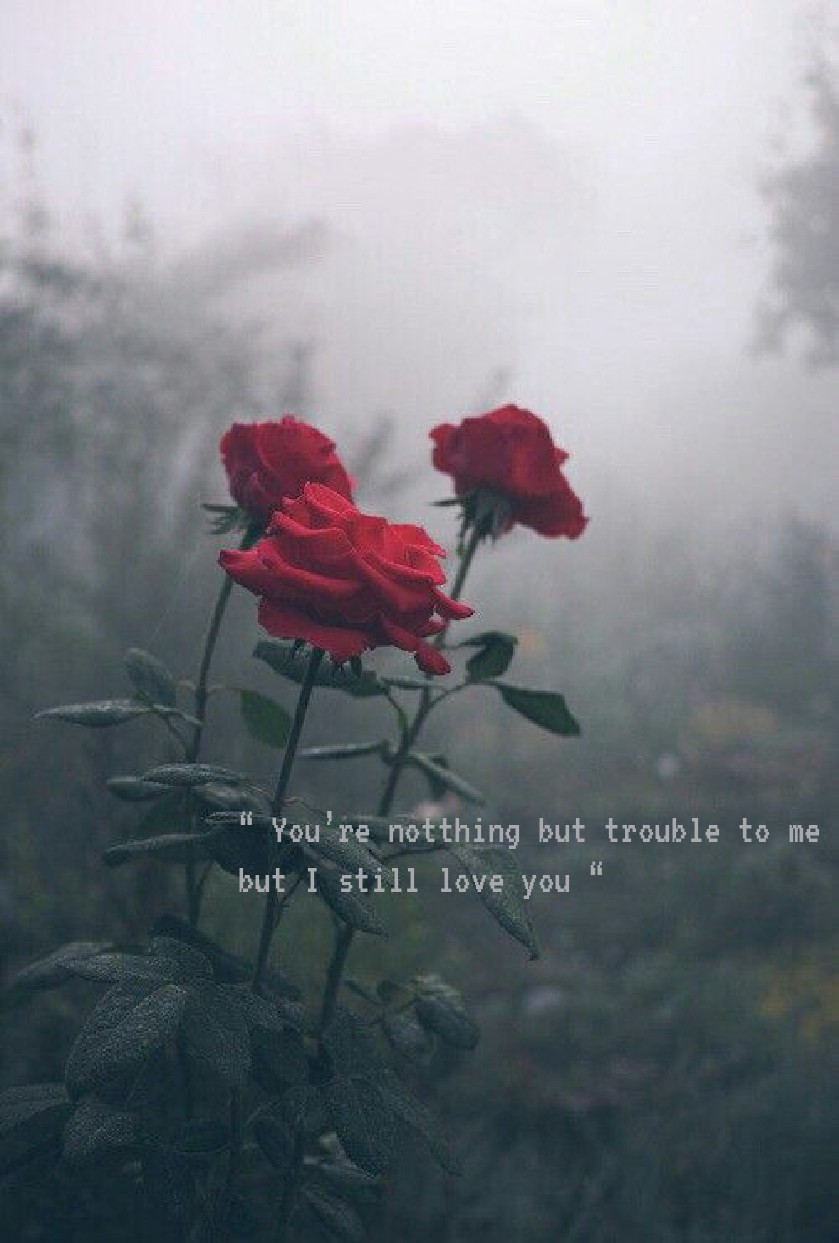 Rose..