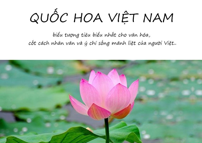 BTVN buổi 4 - Nguyễn Phương Anh 