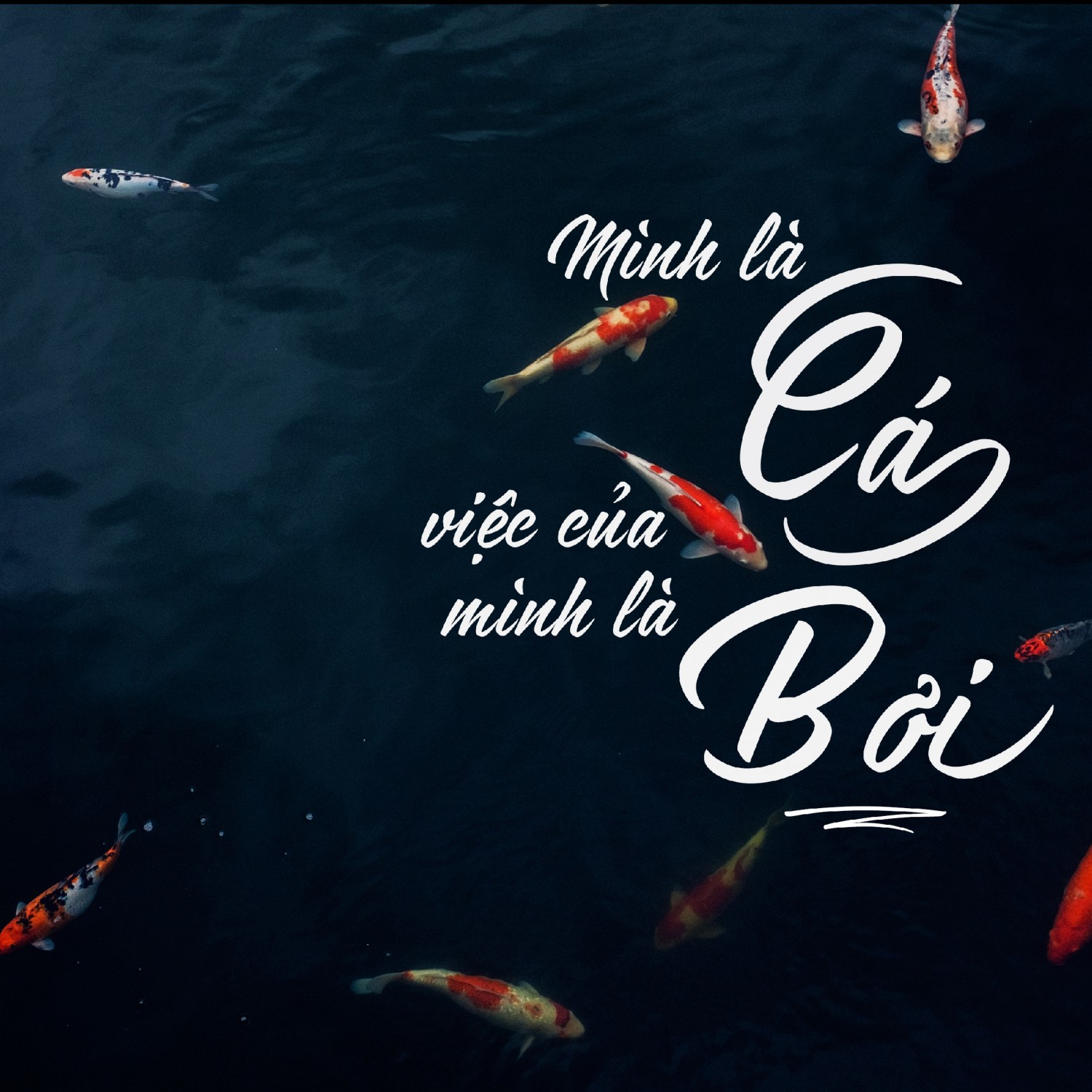 BTVN - B3 - Đỗ Minh Sơn - Ai38.5