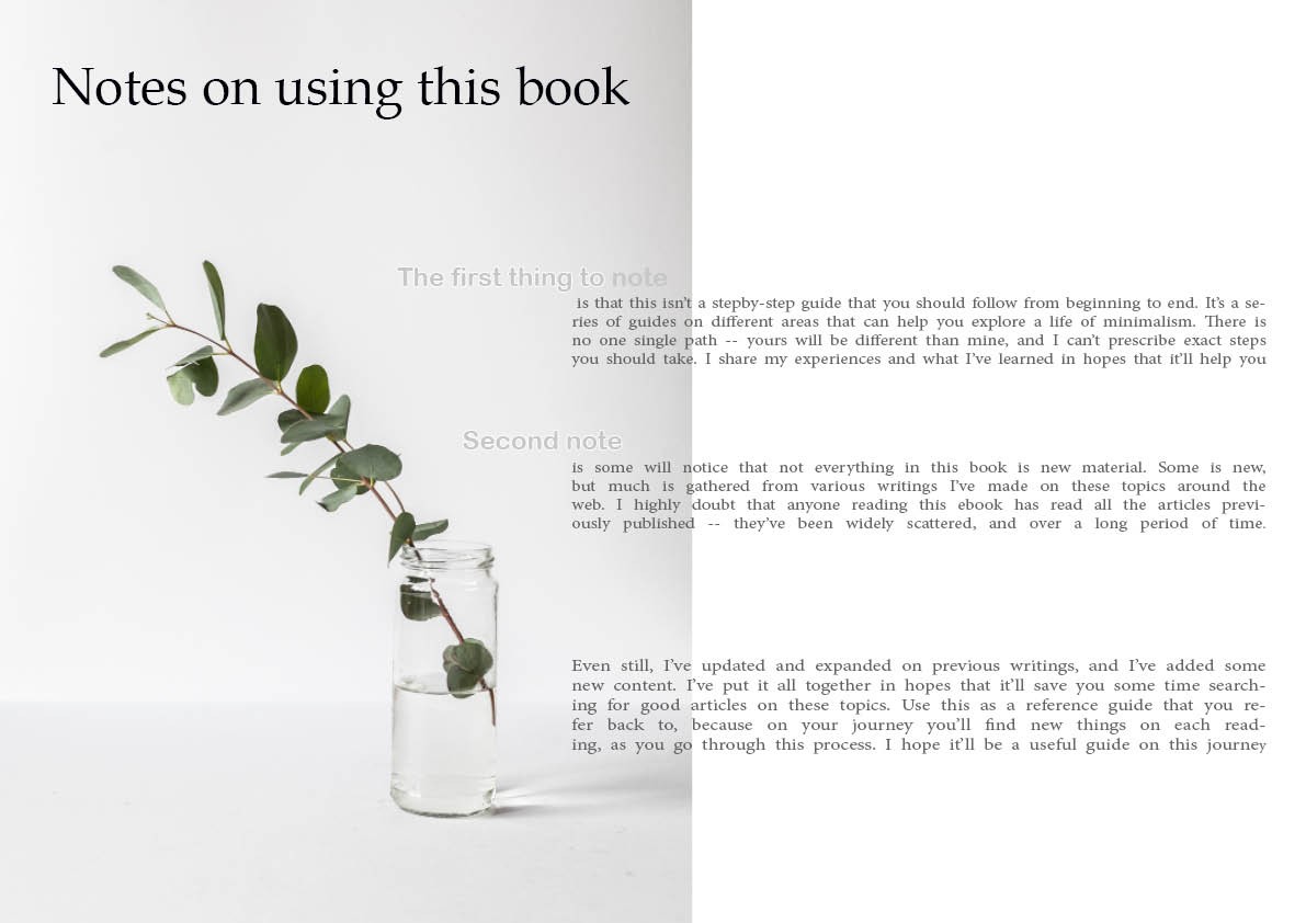InDesign 02