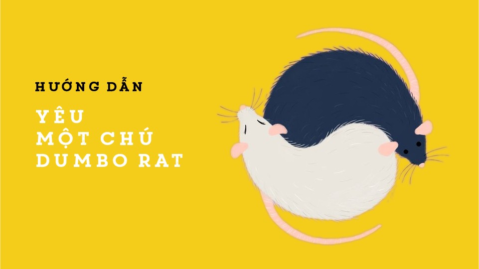BT4- tự chọn