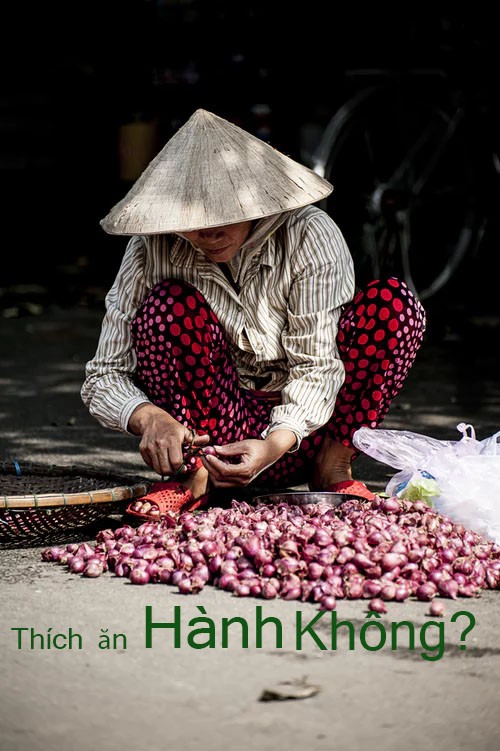 Quốc Anh