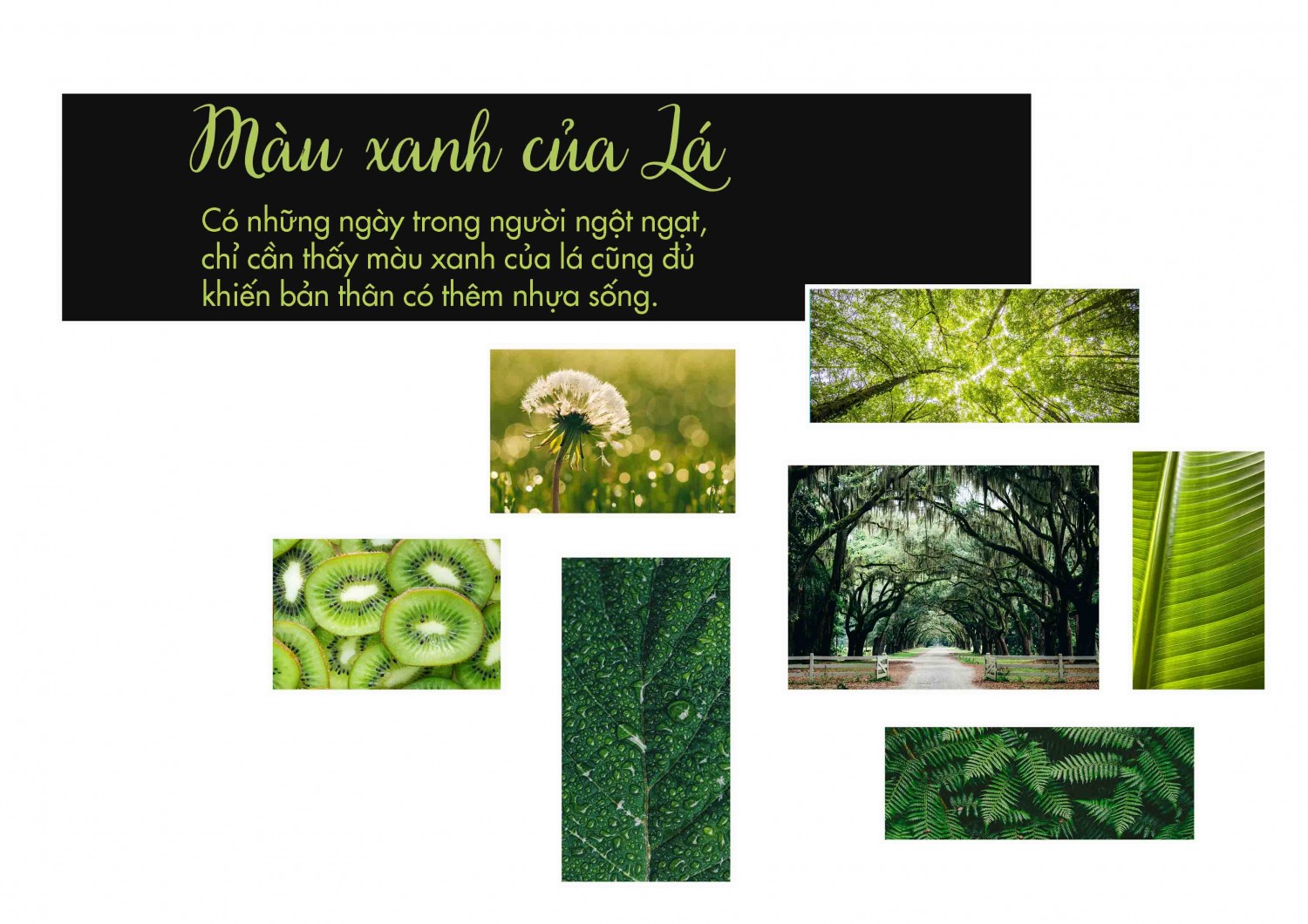 Bài tập buổi 2_Photoshop_Tạ Thái Chân