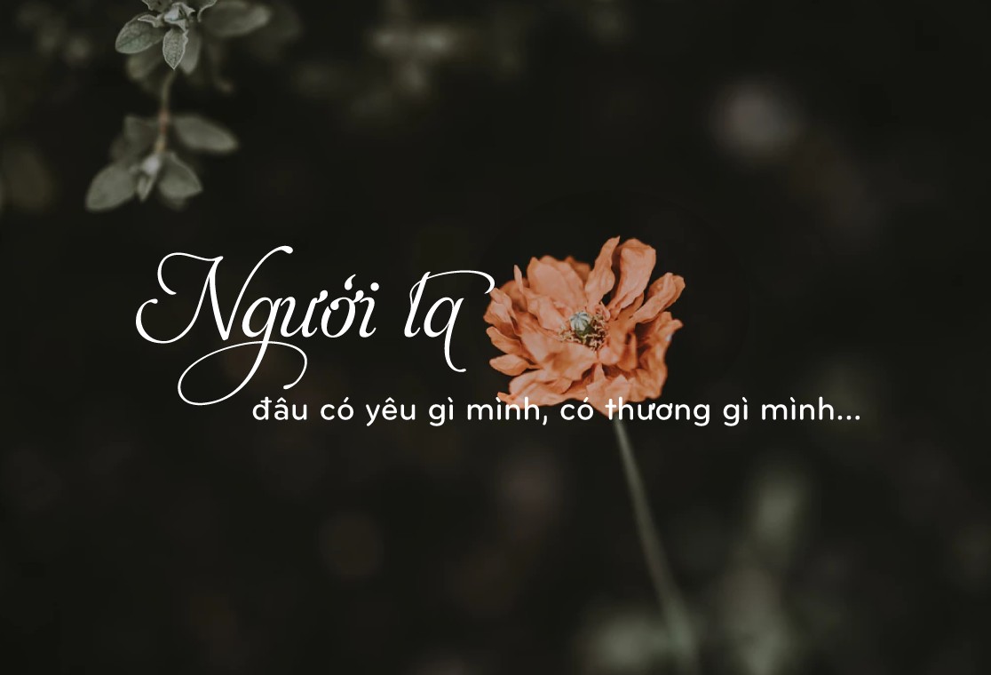 BTVN B3 - Phạm Thị Liễu