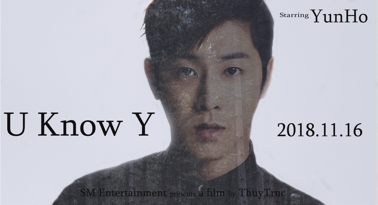 Poster Film