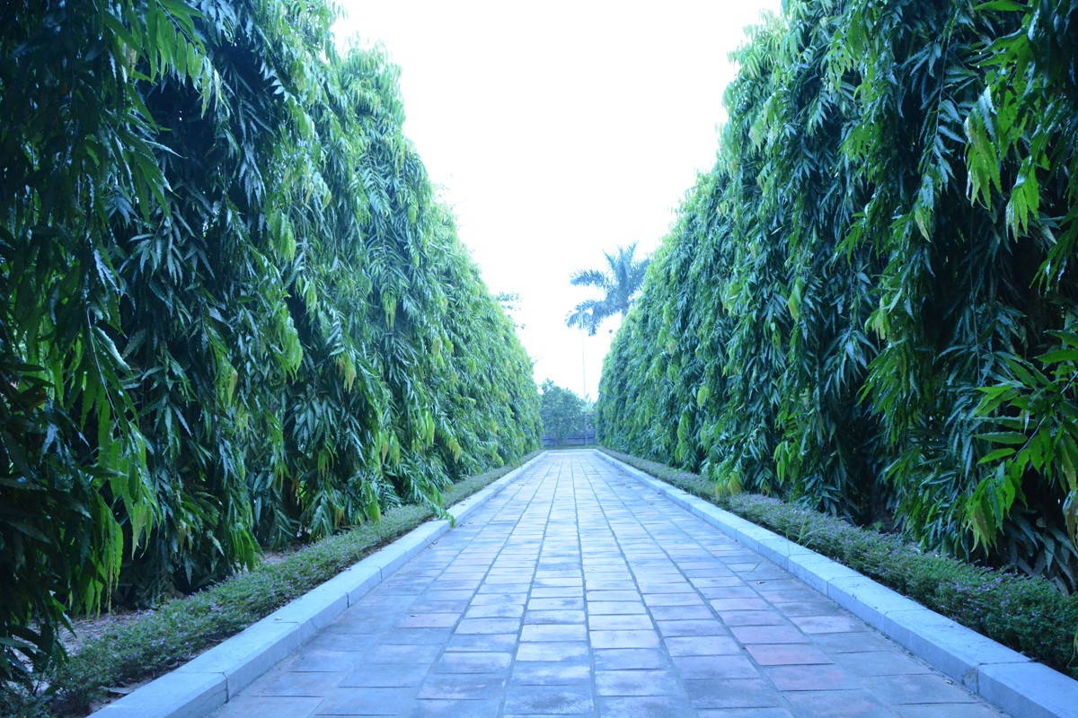 Đền Hai Bà Trưng