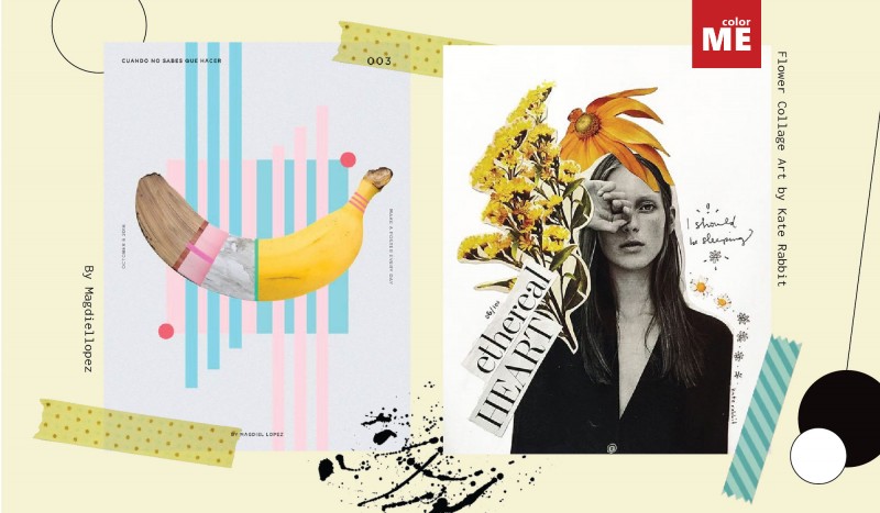 Collage và ứng dụng.
