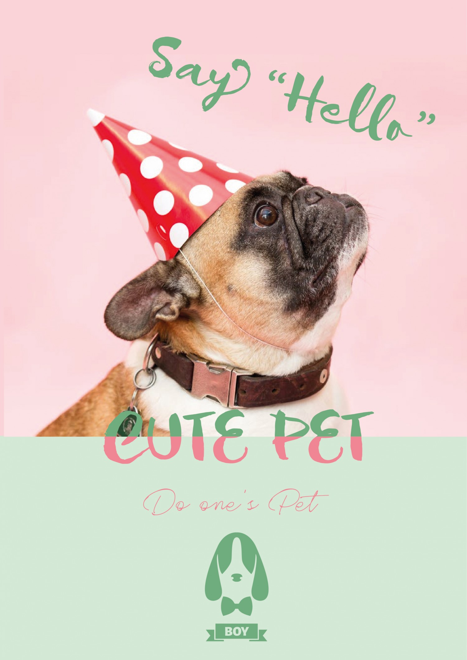 banner pet