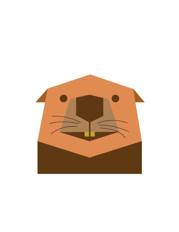 Unknown animal