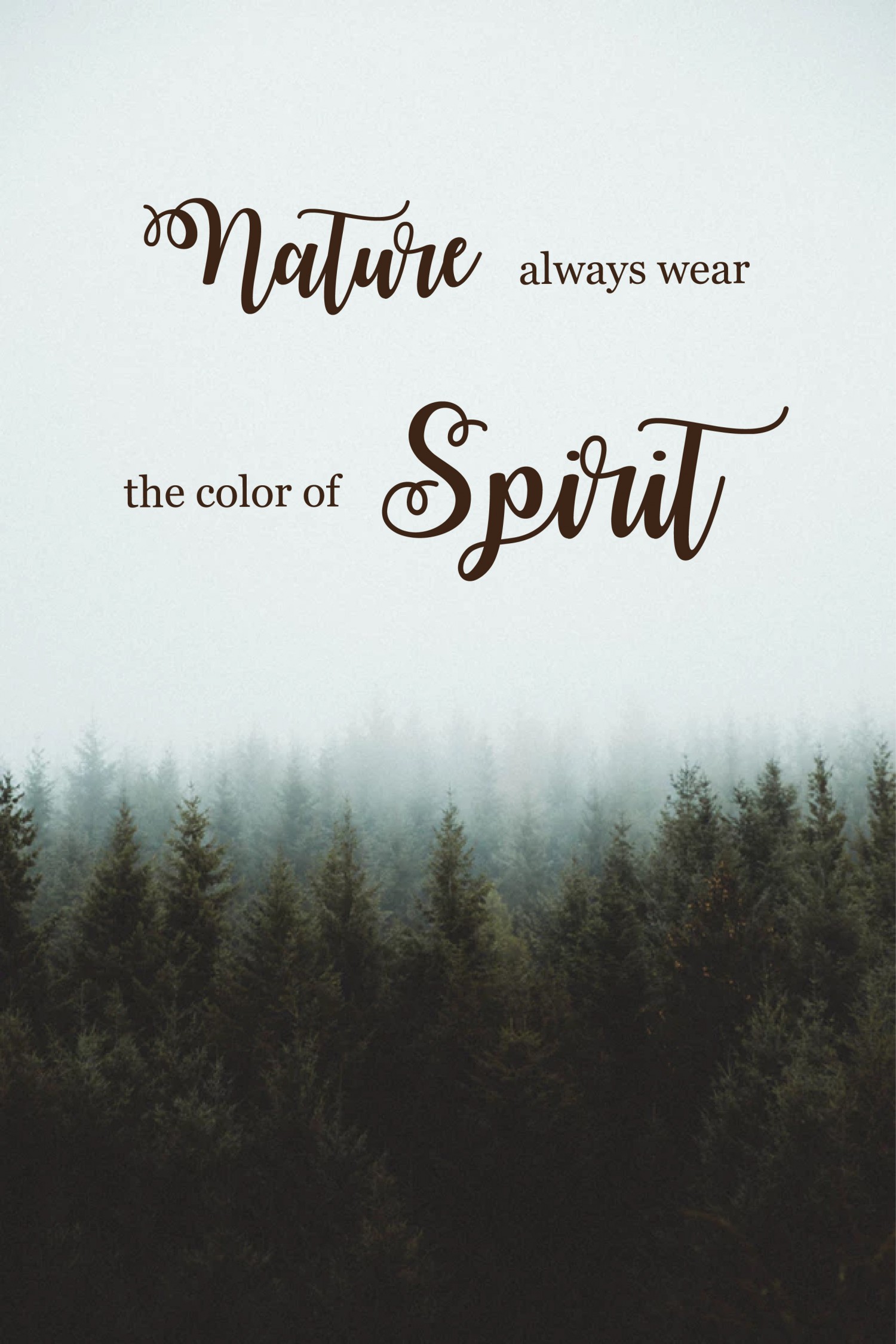 BTVN B3: Typography