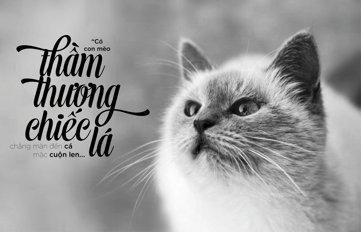 Nguyễn Phạm Quỳnh Hương_buoi3_typo_PNG