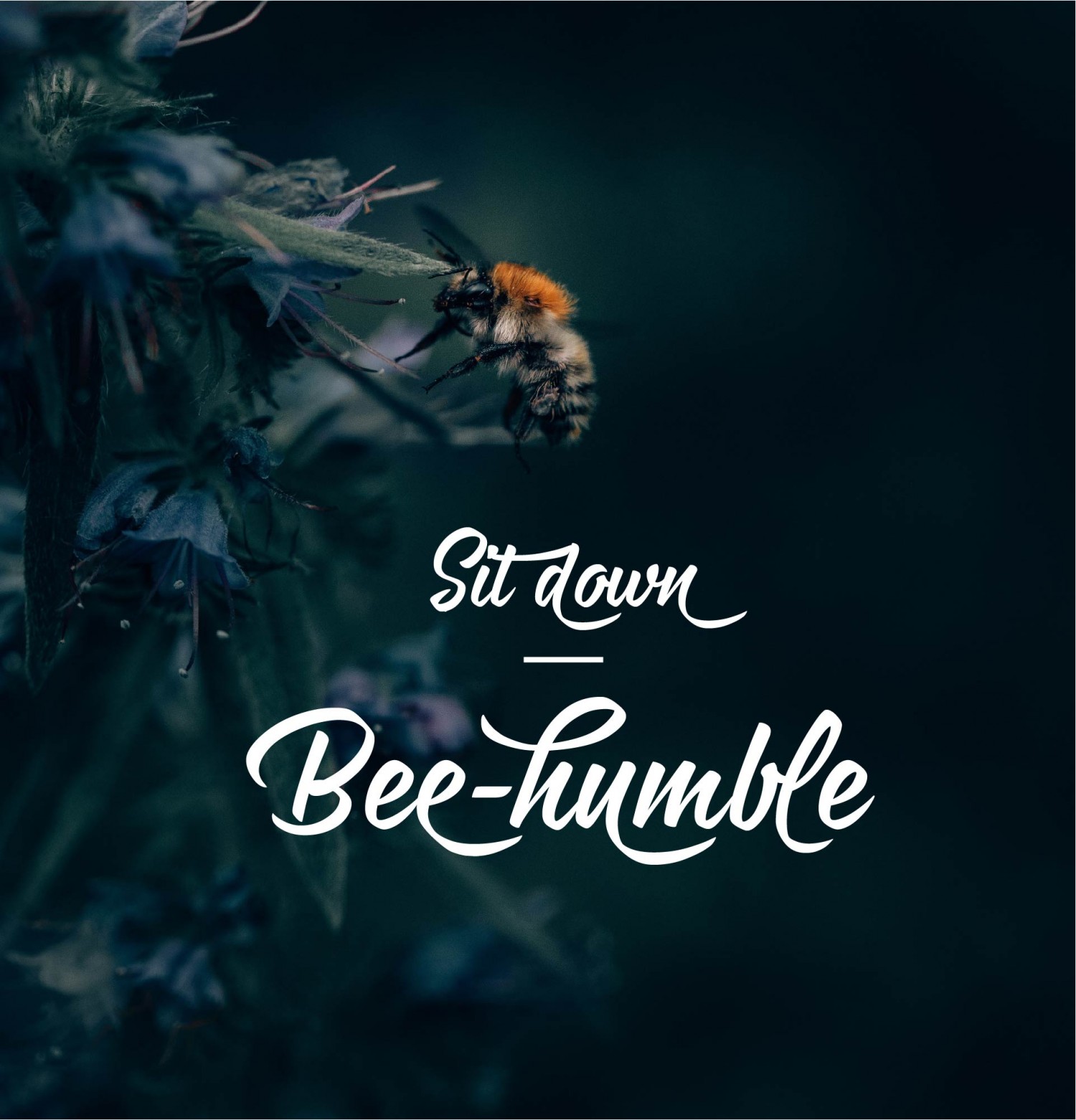 BTVN Buổi 3