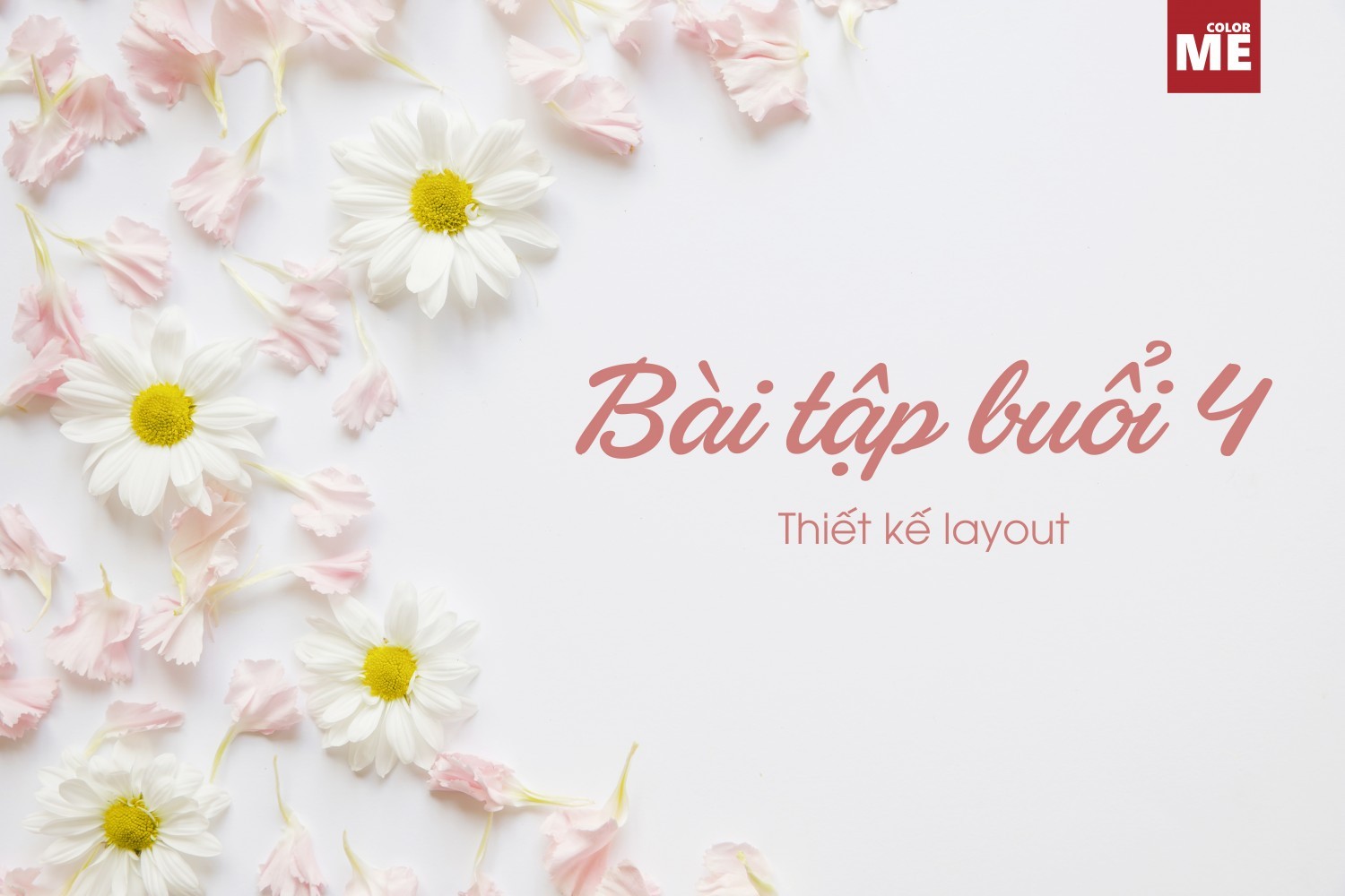 BTVN Buổi 4 - Thiết kế layout