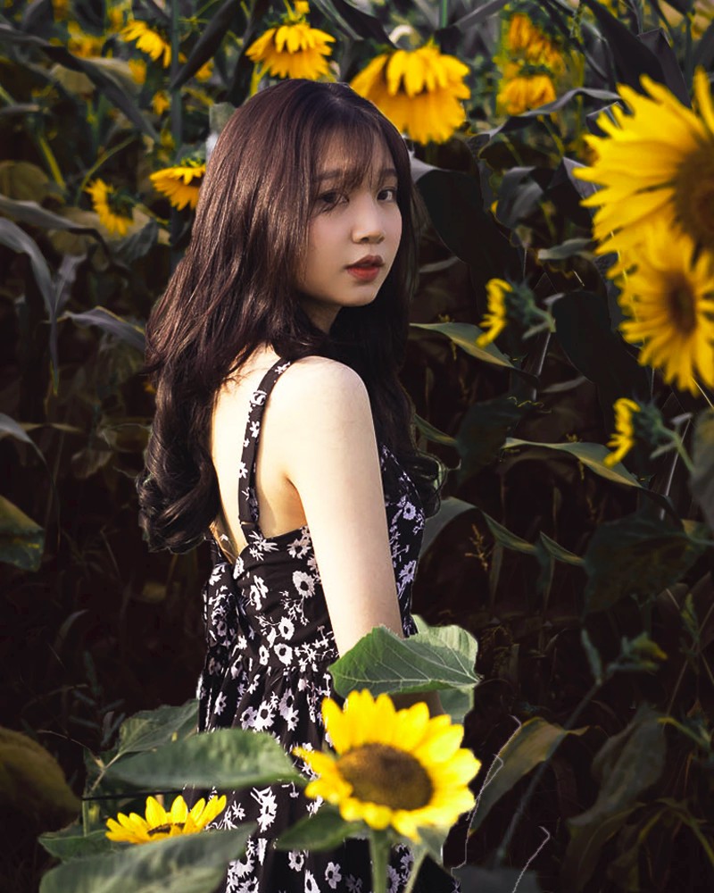 BTVN buổi 1