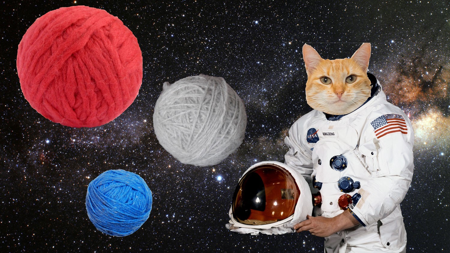 they said i could be anything