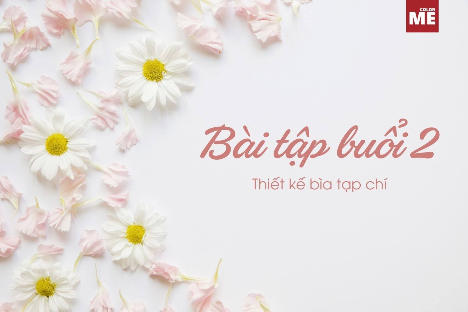 BTVN B2