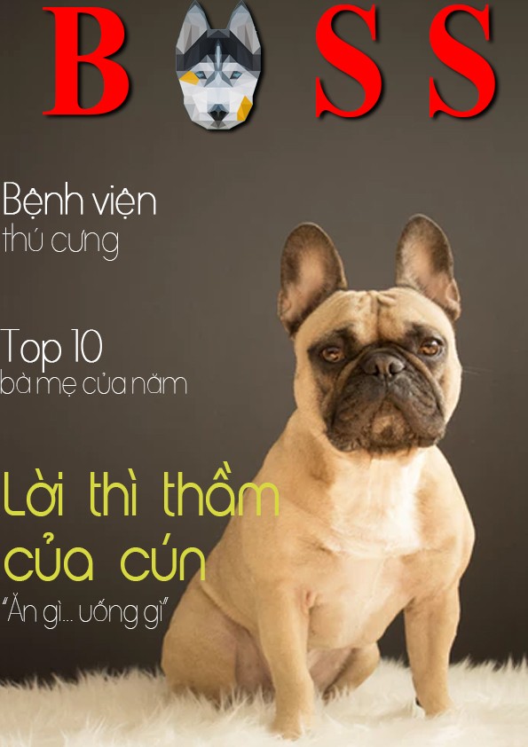 BTVN Buổi 2