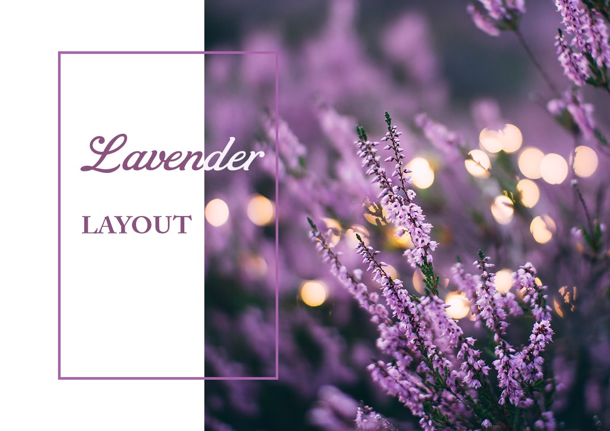 BTVN2_Layout
