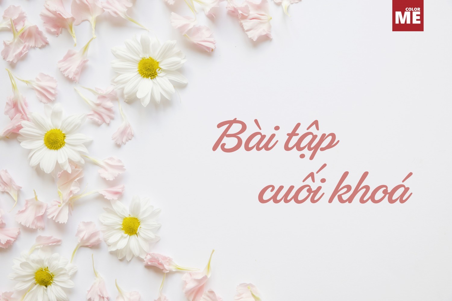 BTCK - ẤN PHẨM TRUYỀN THÔNG
