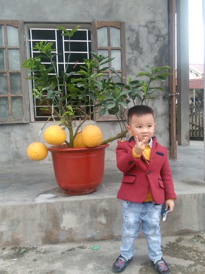 Bài về nhà buổi 2