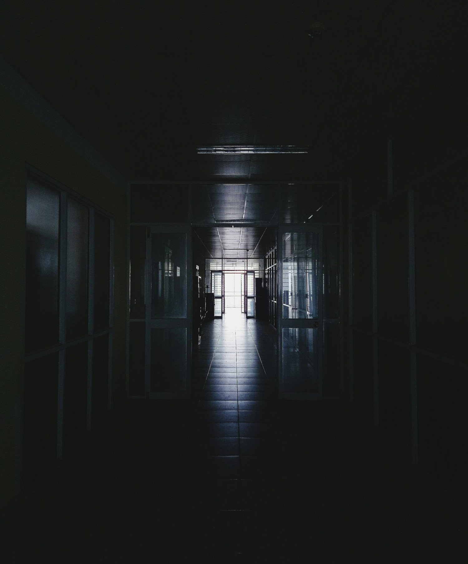 btvnb2