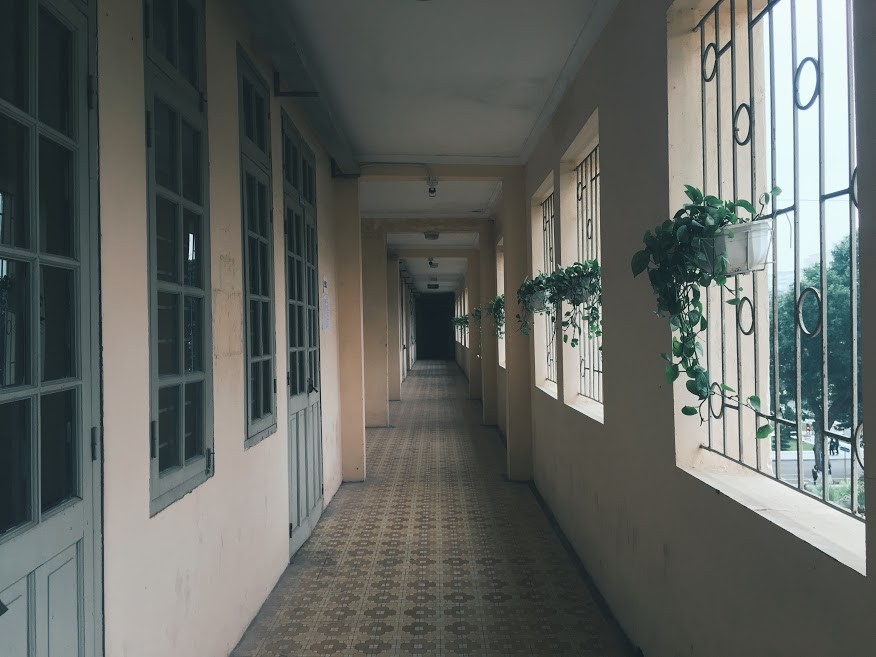 Bố cục đường dẫn
