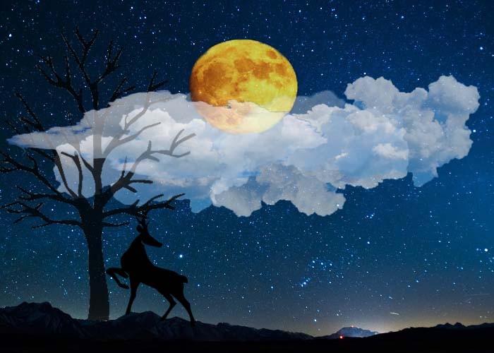 Night sky