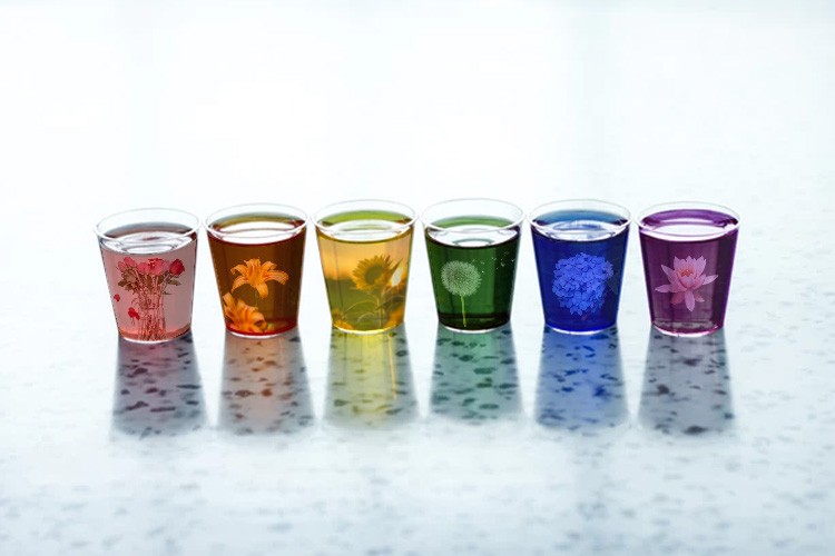 Floral Liquid