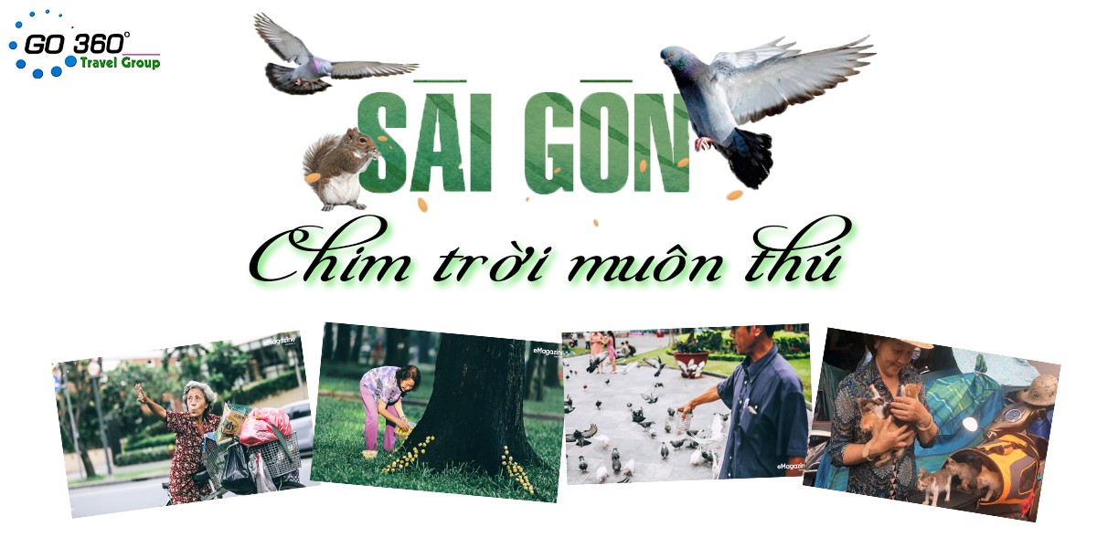 bài tập buổi 1
