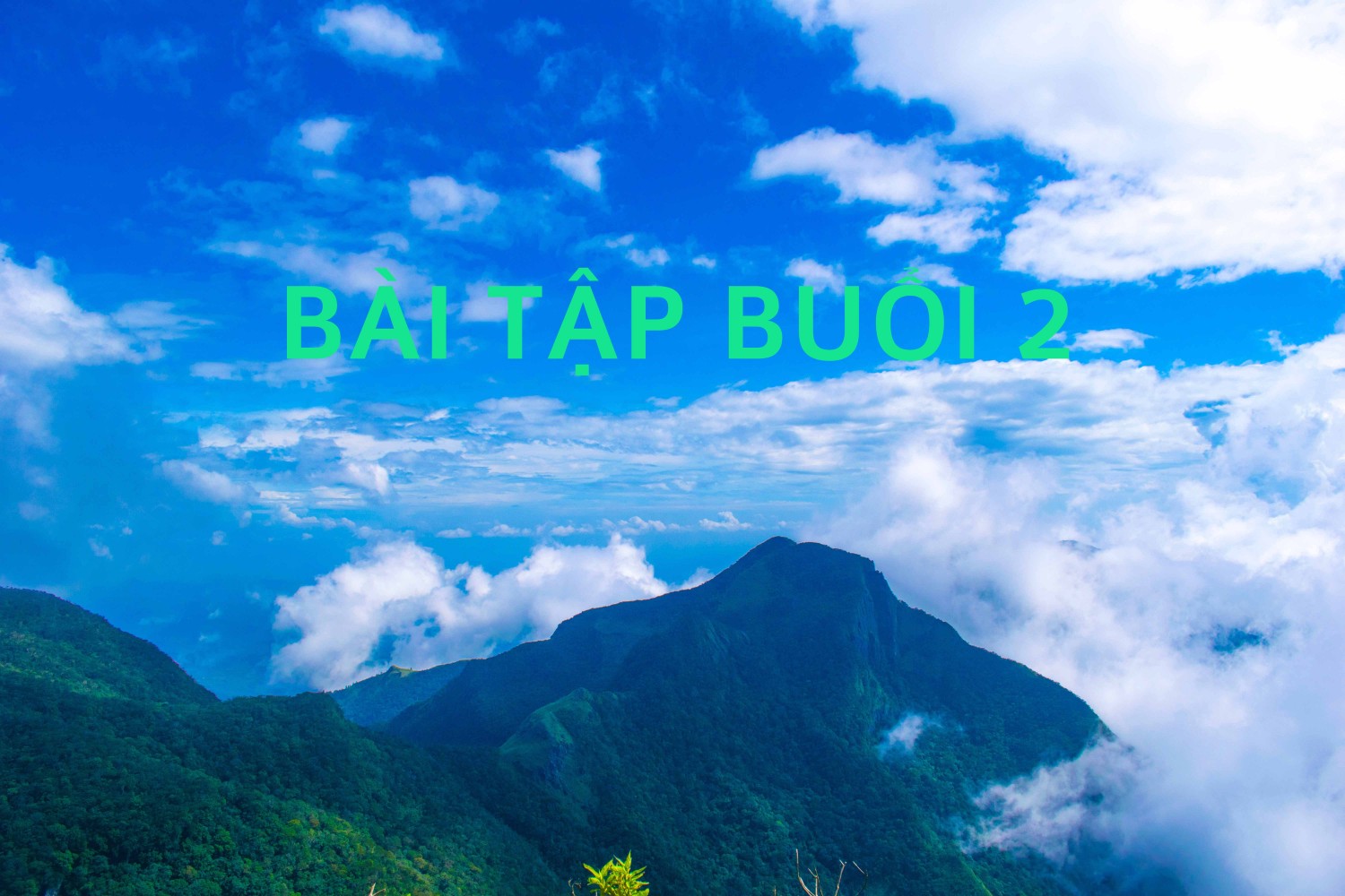 Bài tập về nhà buổi 2