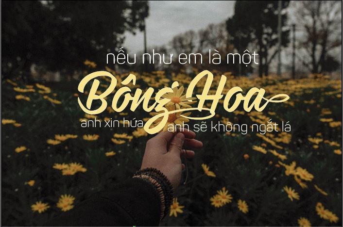 BTVN Buổi 3- Typography