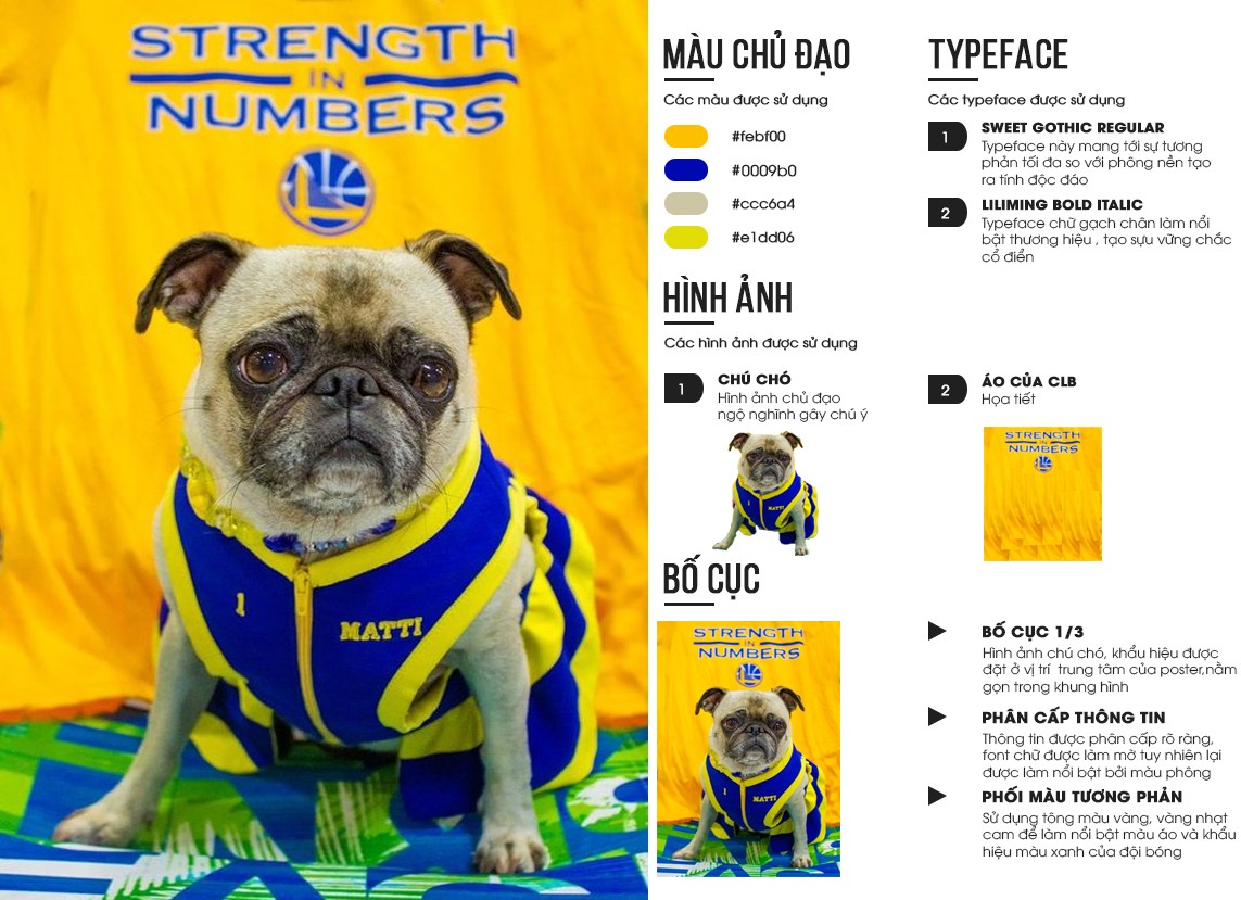 bài tập phân tích