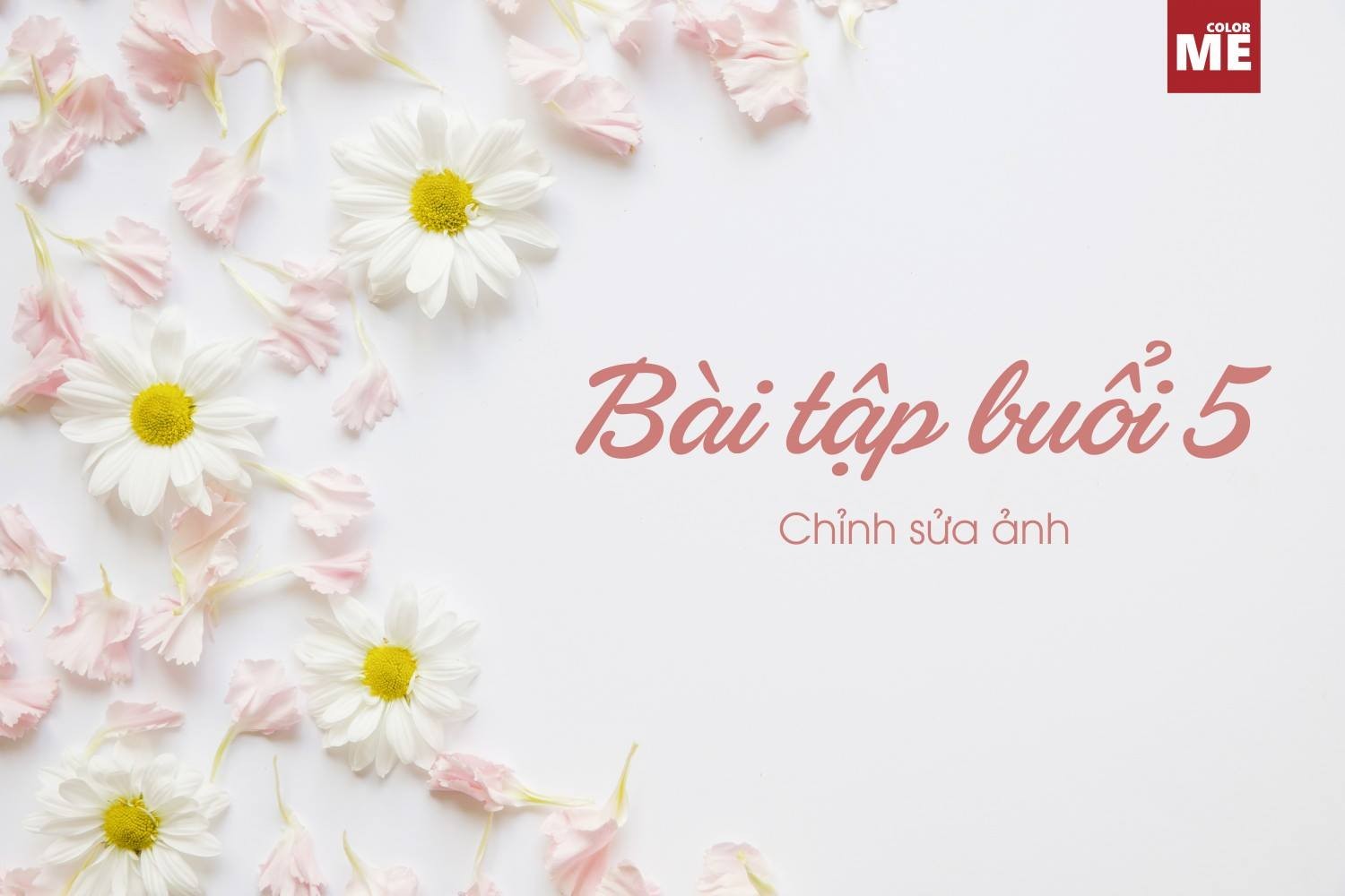 BTVN buổi 5