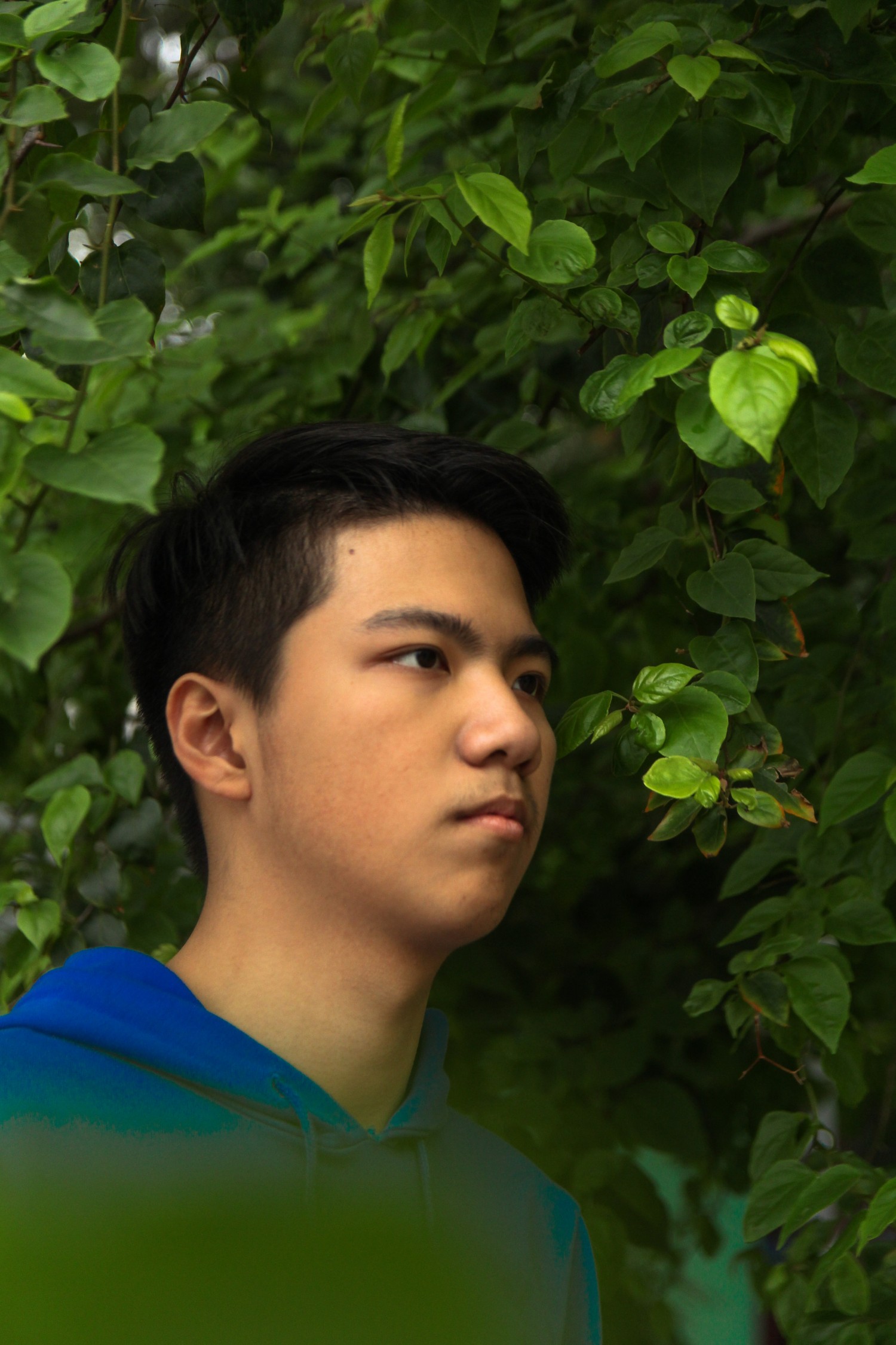 Bài tập cuối kì