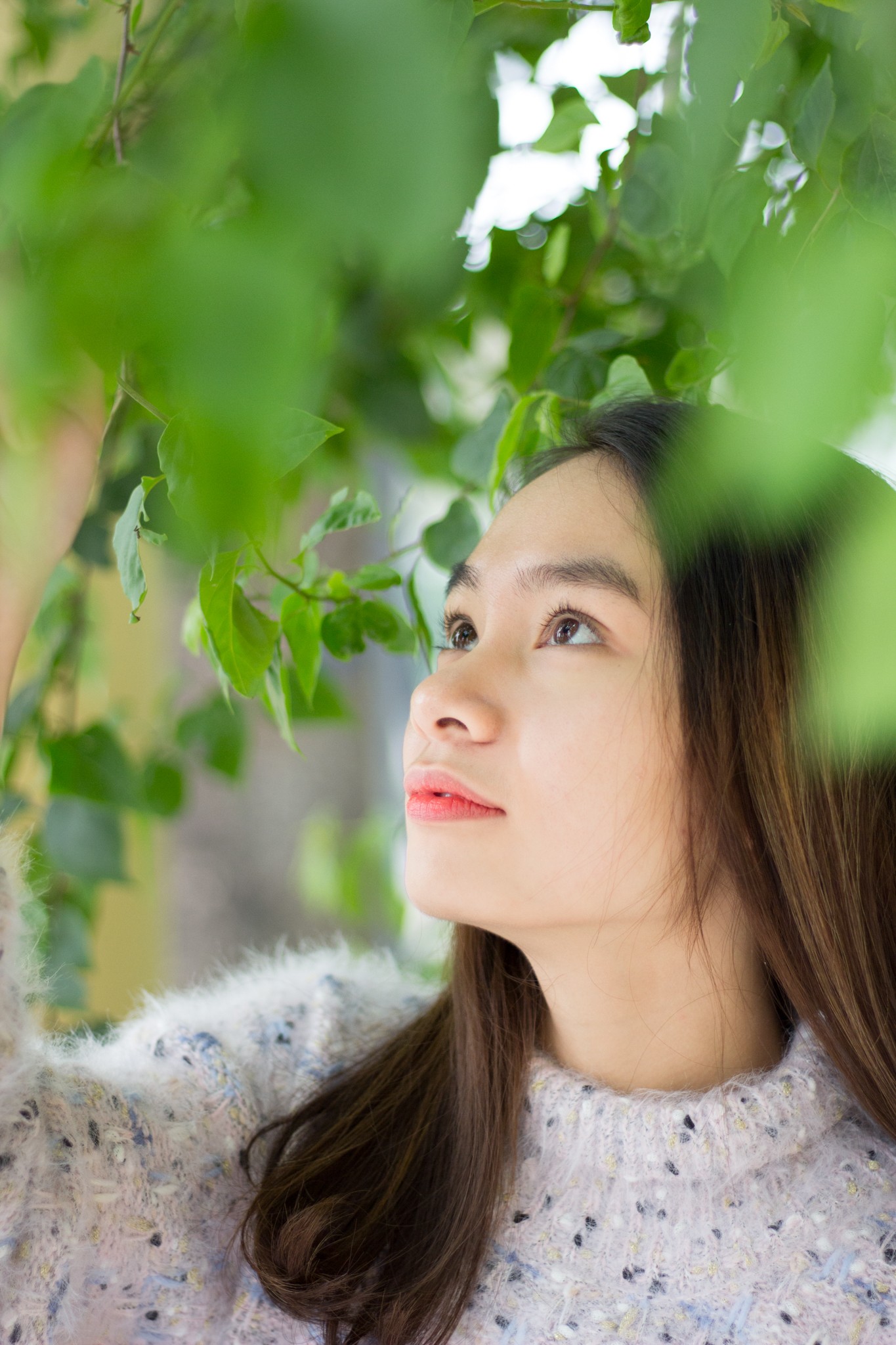PT45.4 - BTCK - Đinh Thùy Linh