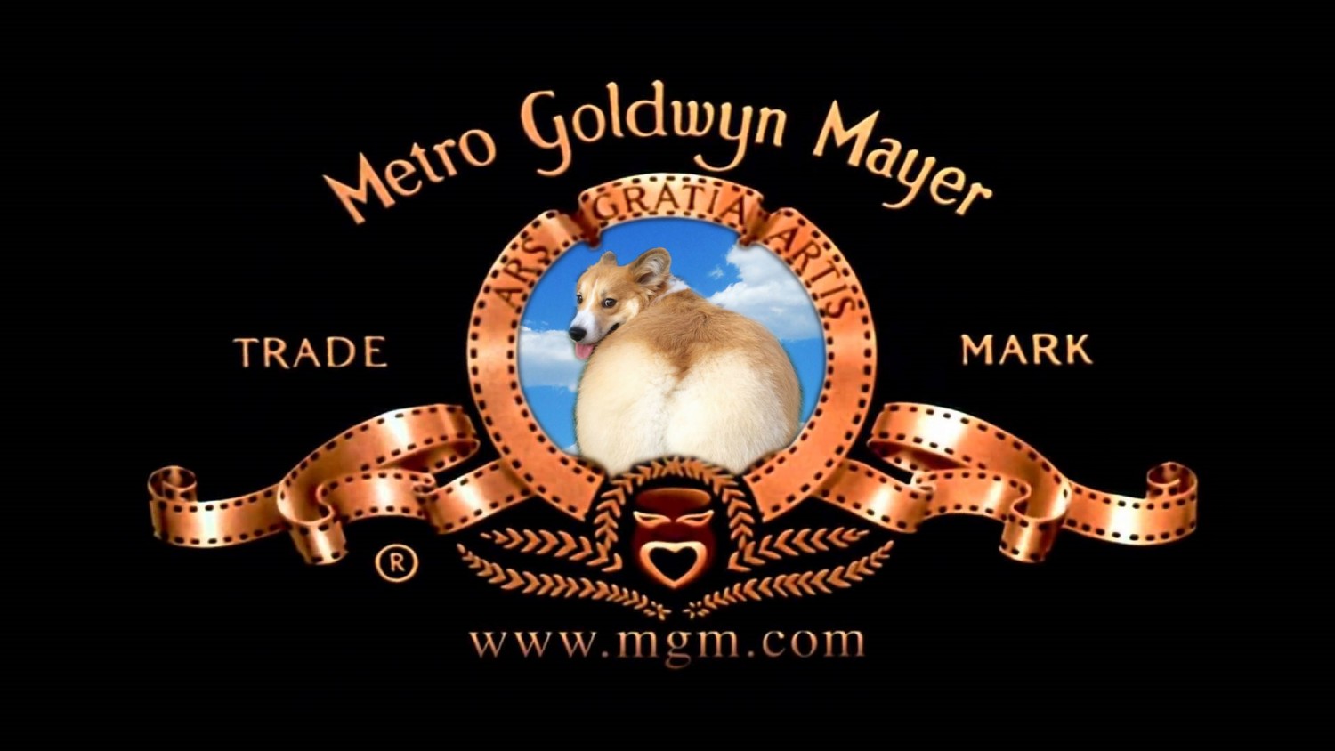 Corgi Film Production