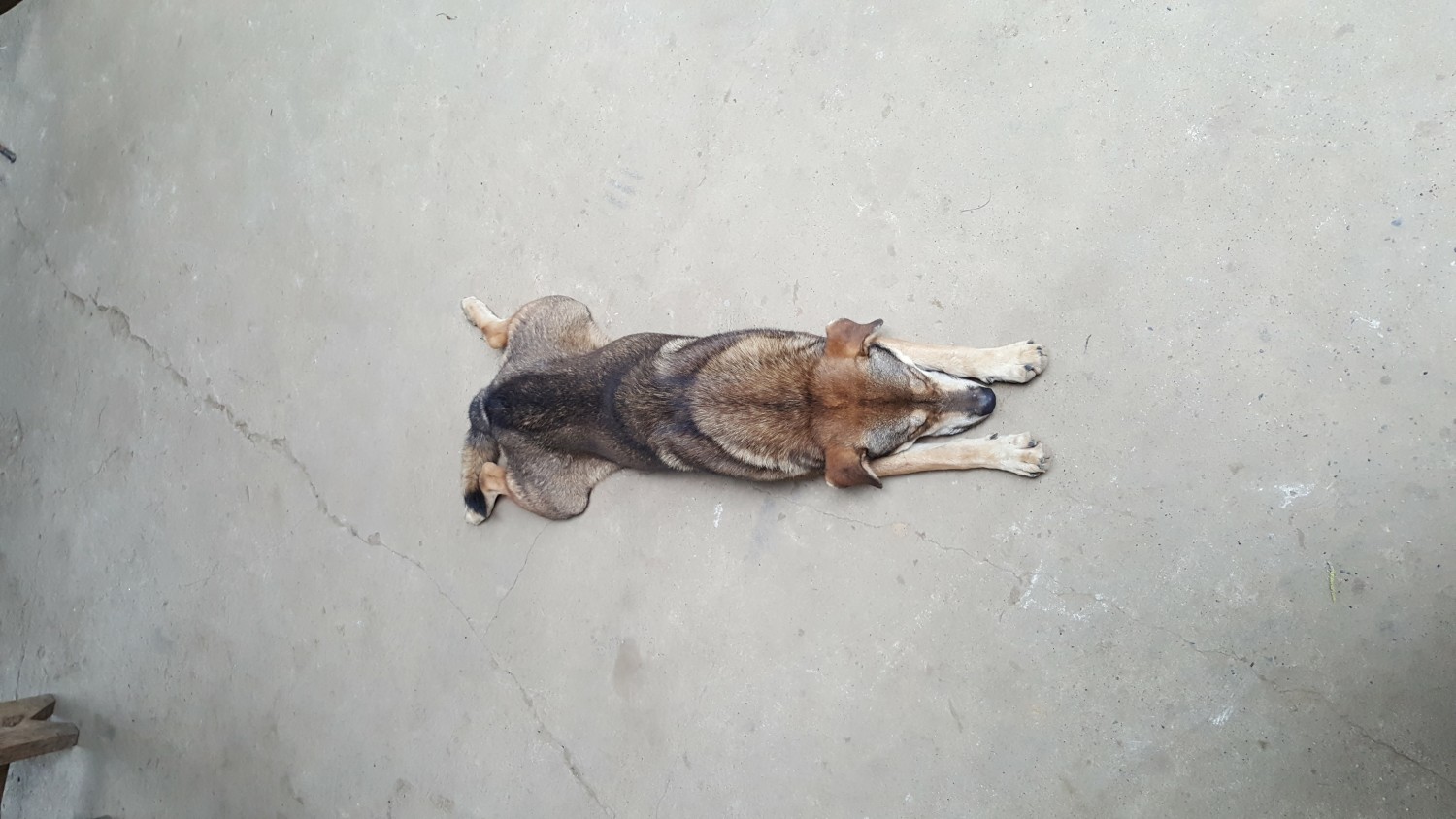 Khoảng khắc