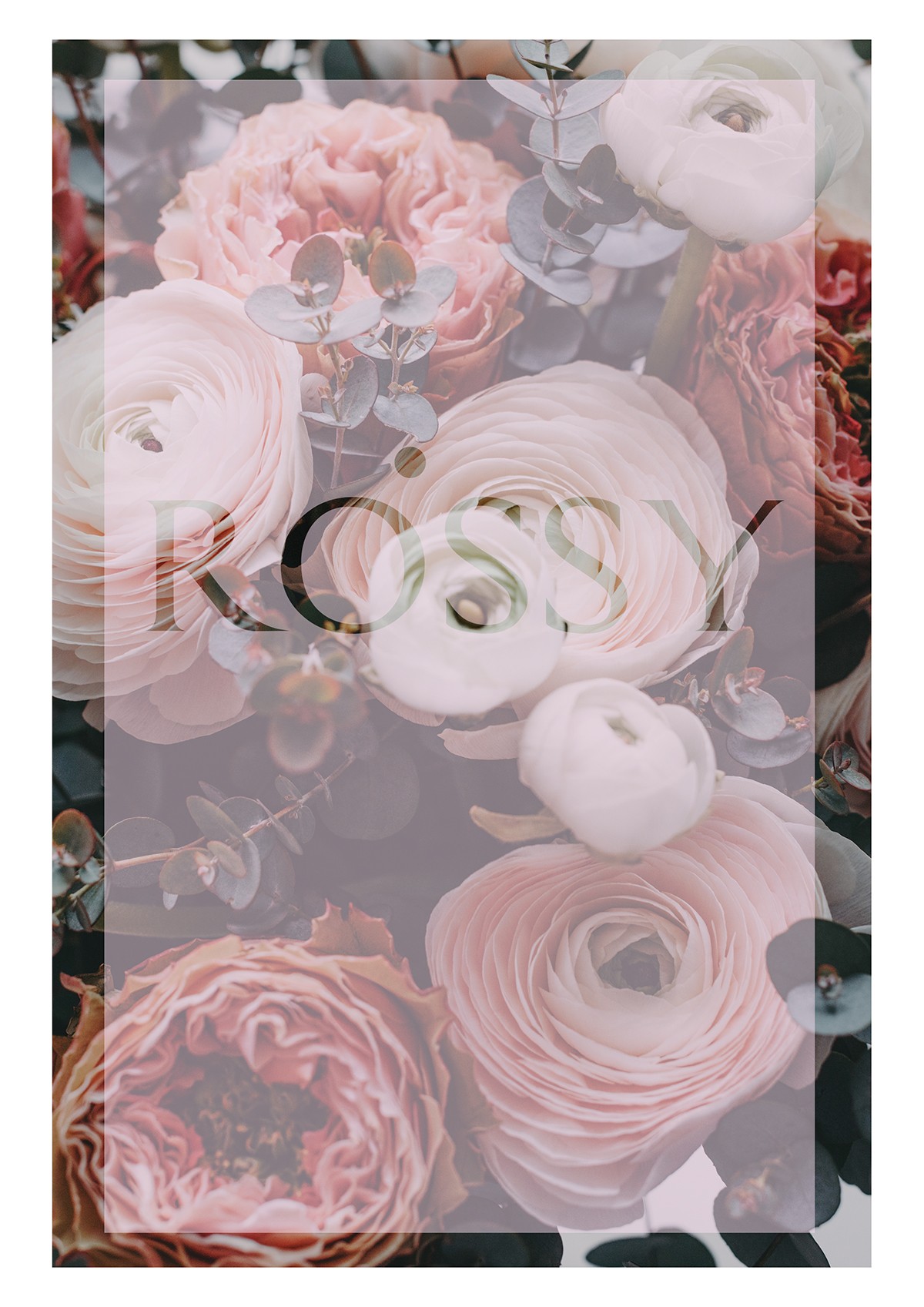 ROSS