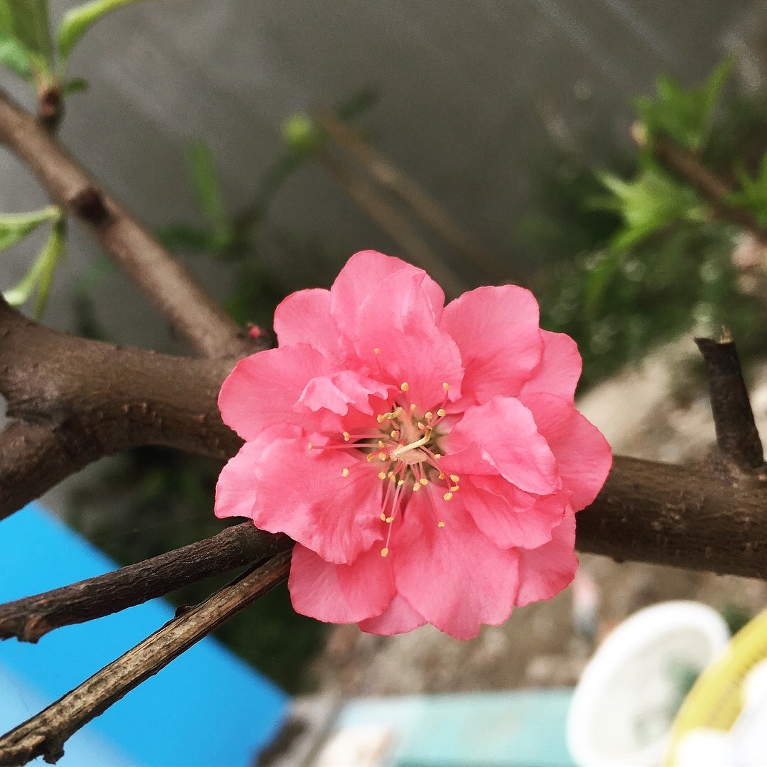 BTVN buổi 2