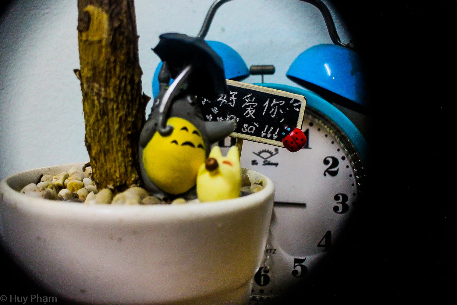 totoro vẫy xe bussss