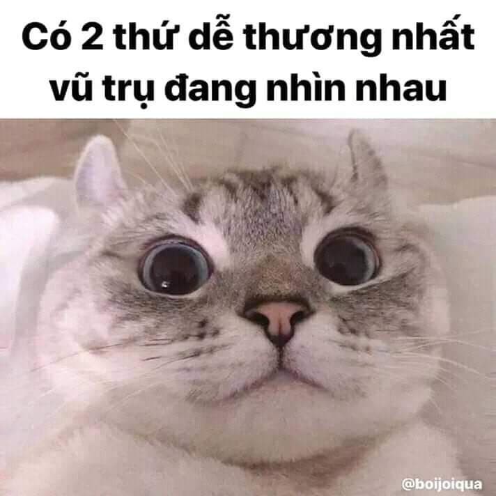 BTVN4