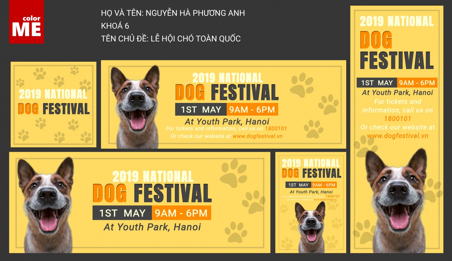 Dog Festival