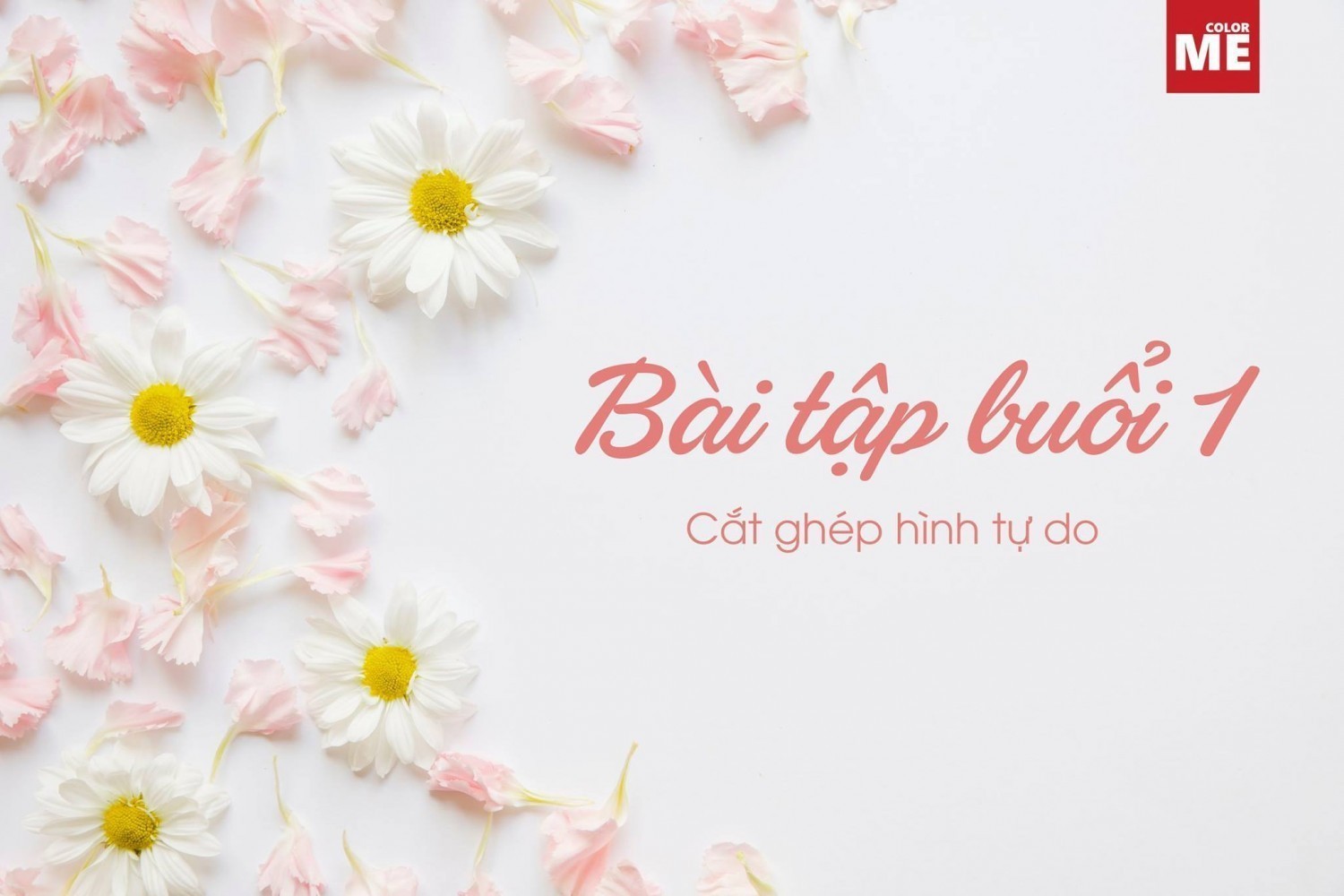 BTVN buổi 1