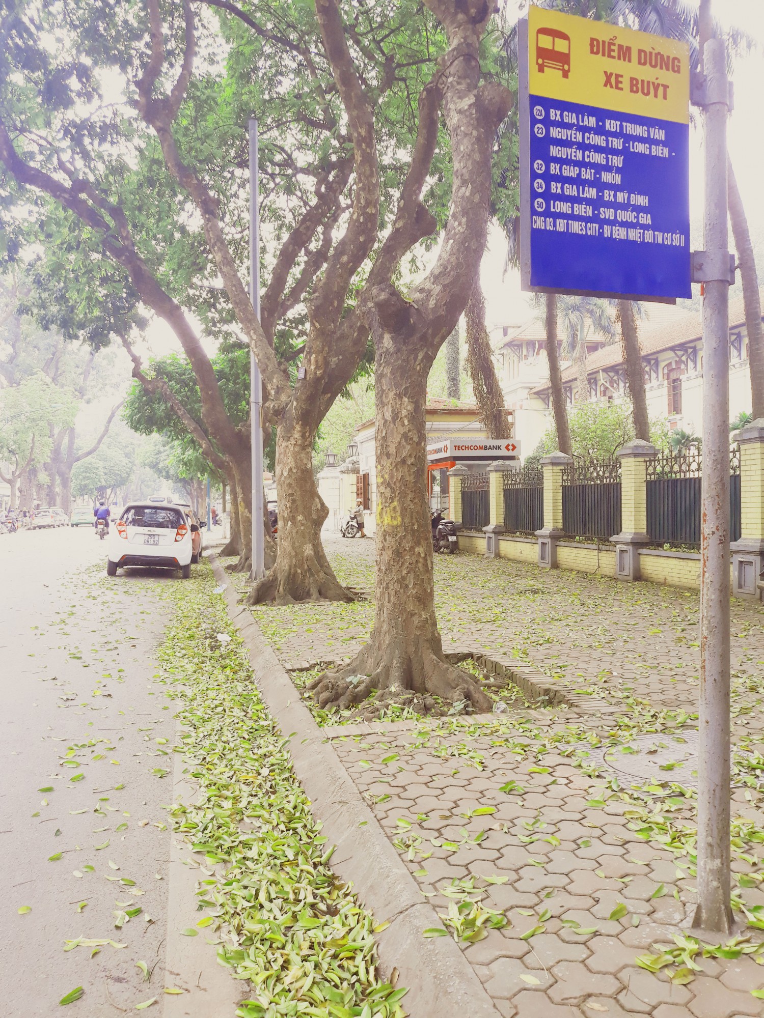 Hà Nội mùa rụng lá