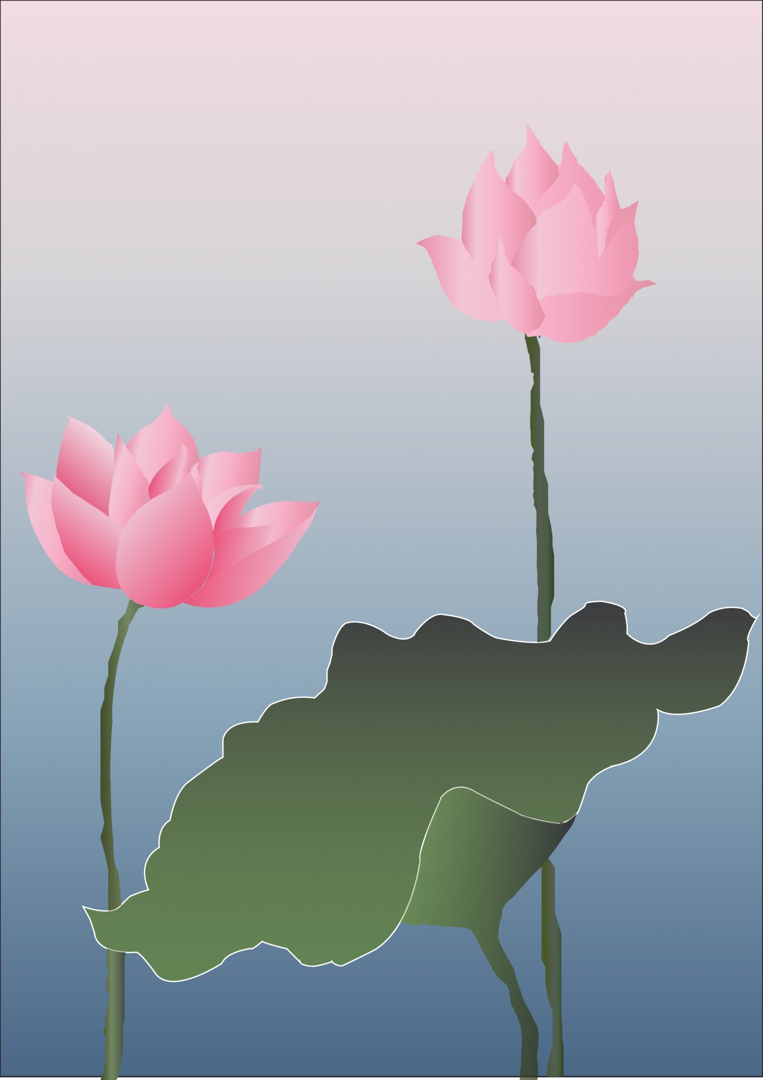 Bài tập buổi 2