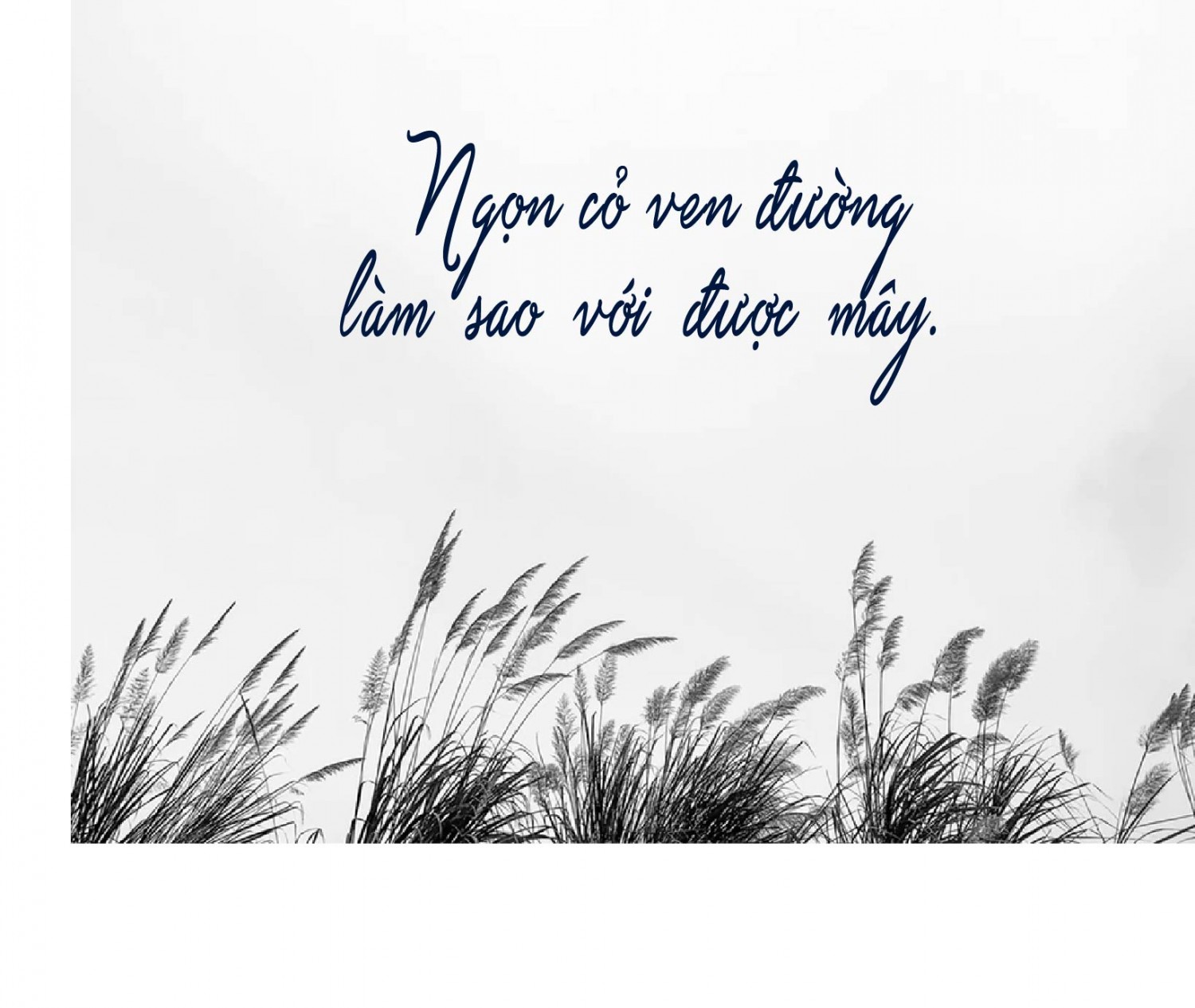 BTVN