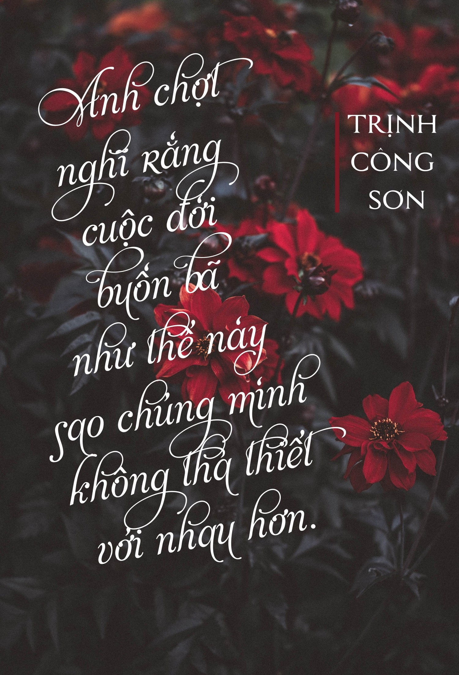 BTVN BUỔI 3: TYPOGRAPHY