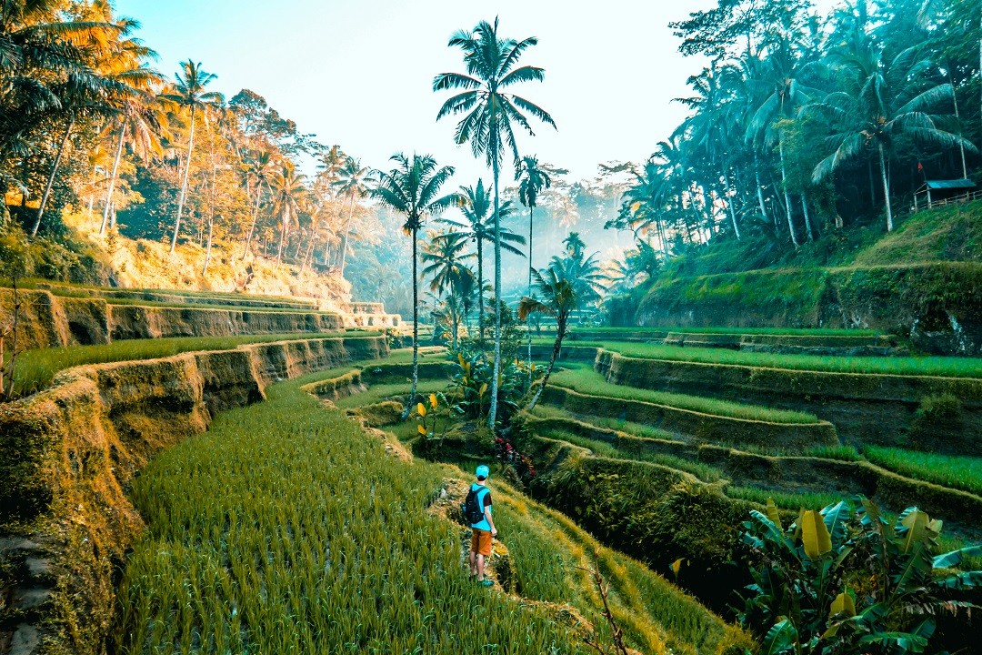 trả bài